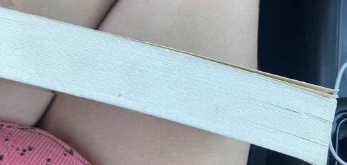 BOOK: The Whys of a Philosophical Scrivener Paperback Martin Gardner 1983 VTG