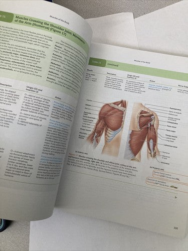 BOOK: Human Anatomy Pearson New International Edition Paperback College Edu