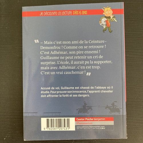 BOOK Guillaume petit chevalier 2 Le secre by Dufresne Didier Paperback softback
