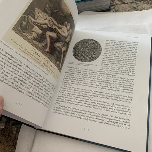 BOOK: Sublime Truth and the Senses: Titian's Poesie for King Philip II of Spain