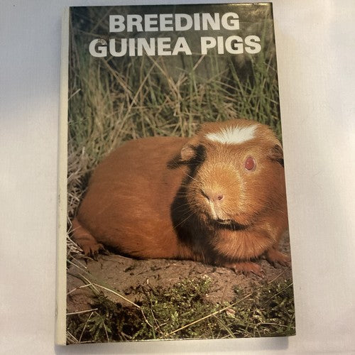 BOOK: BREEDING GUINEA PIGS By Jennifer Axelrod Vintage Hardcover 1980 Pets