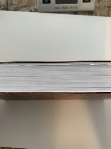 BOOK: PanzerjÃ¤ger y caÃ±ones de asalto Juan Campos Ferreira