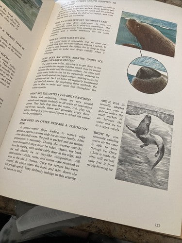 BOOK: Character Sketches Volume 1 1978 Hardcover Illustrated Nature Vintage