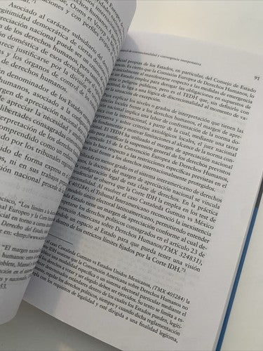 BOOK: Control De Convencionalidad Y Convergencia Interpretativa Saul M. Rubio