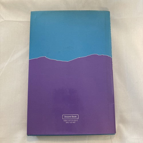 BOOK: DIVORCE AND BEYOND Keys to Survival and Success Vintage 1987 Desert Book