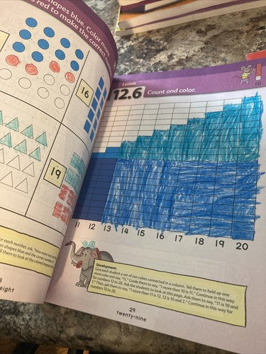 2 BOOK LOT: Kindergarten Math + 100 Sight Word Mini-Books Essential Sight Words