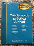 Grade 2 Practice Book Tesoros de lectura Spanish Reading Dual macmillan mcgraw