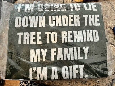 NEW T-Shirt Gildan Large Christmas Funny Lighthearted Joke Humor Remind Family